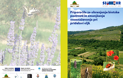 Priporočila za ohranjanje biotske pestrosti in zmanjšanje onesnaževanja pri pridelavi oljk