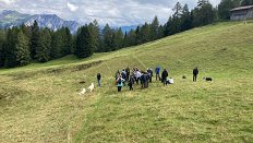 Ekskurzija Švica 2020_Kombinirano varovanje črede