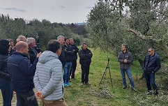 Medn.delavnica rez oljk 2022_Gostovali smo v oljčniku kmetije Jevnikar na Beneši.