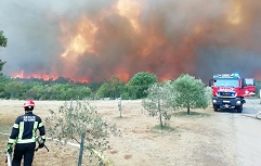 požar Kras julij 2022 (foto Matjaž Marušič  gasilska enota Nova Gorica )