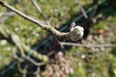 DSC09969-1