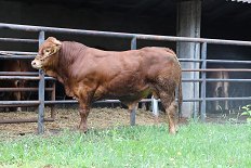 6E3A0755