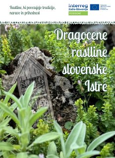 Poseidone_publikacija