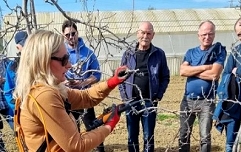 Slika Posnetek zaslona 2026-03-04 141645