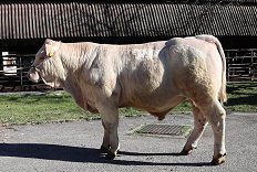 SI 55968720 STENDAL - frame at 0m4s-2