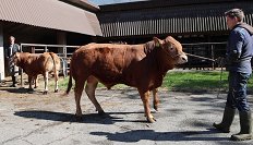 Odbira mesni - 21.4.26 - 1 -2