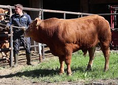 Odbira mesni - 21.4.26 - 5 - 2