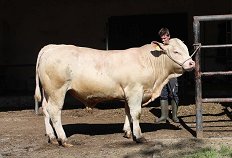 Odbira mesni - 21.4.26 - 6 - 2