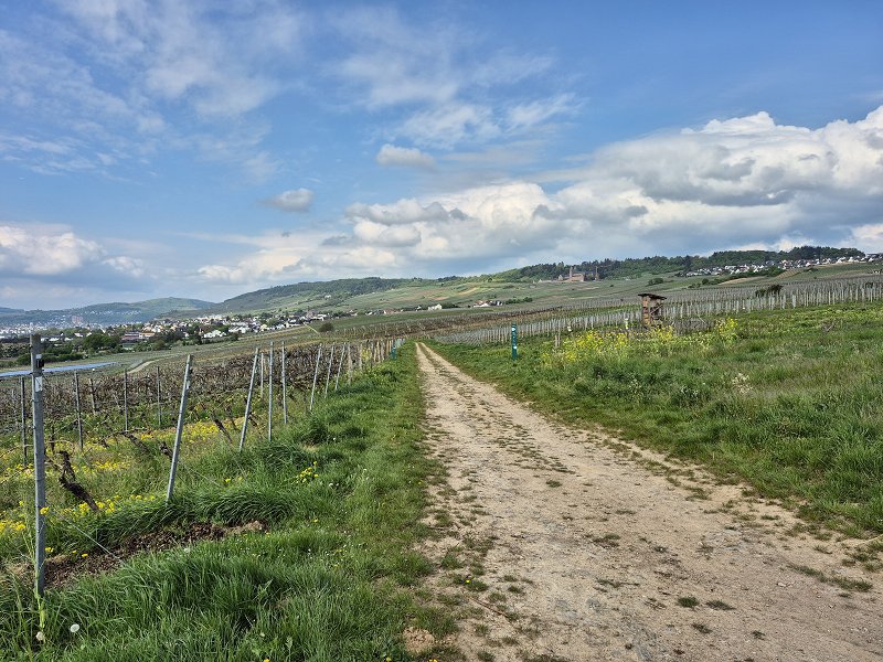 Vinorodni okoliš Rheingau