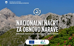 Slika NNON__slika