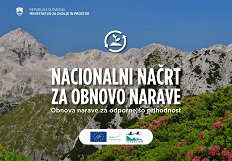 NNON__slika