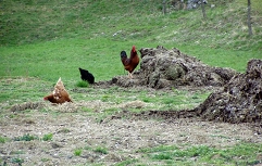Slika P1012343