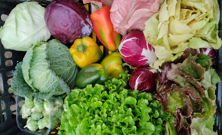 Slika3_rodovitna tla