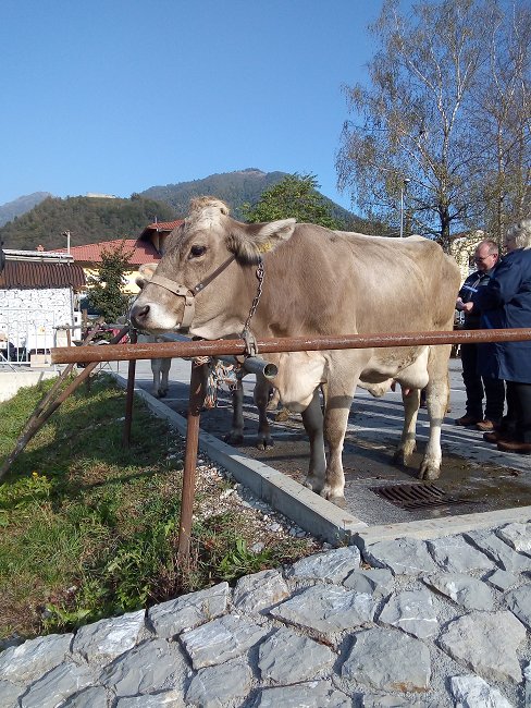 tolmin praznik 3